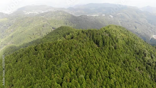 山の木々たちをドローンで空撮