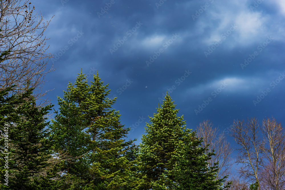 Beautiful urban landscape, blue dramatic sky in the storm, high contrast. Dust and dark clouds in the sky background. Beautiful urban landscape, blue dramatic sky in the storm, high contrast. Dust and dark clouds in the sky background.