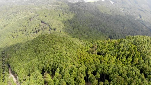 山の森をドローンで空撮