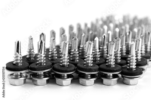 Straight rows of inverted screws with rubber gaskets and round washers on a white background.