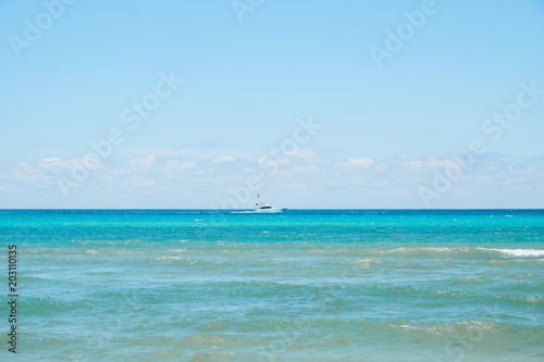 Oceanfront Beach on Sunny Day