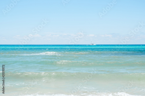 Oceanfront Beach on Sunny Day