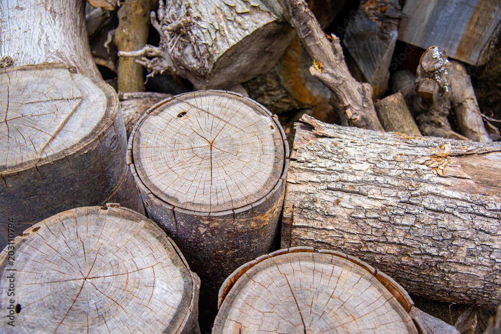 Naklejka premium 丸太