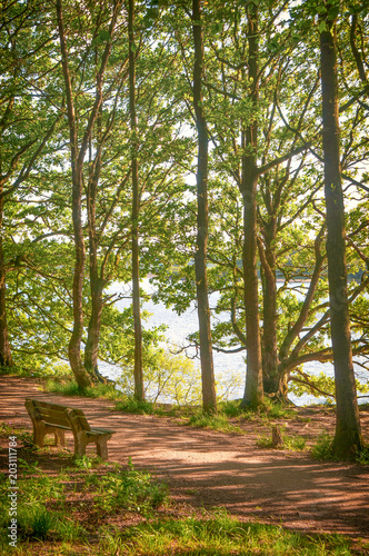 Beautiful woodland scenes convey the lovely rural landscapes of Rivington and Bolton