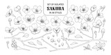 Set of isolated sakura in 38 styles.