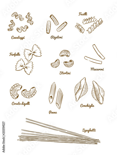 Pasta set. type of pasta hand draw sketch vector.