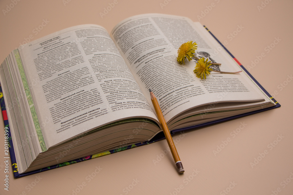 Obraz premium Open book with yellow flower. Dandelion.