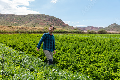 young man working in an organic vegetable garden planted with parsley