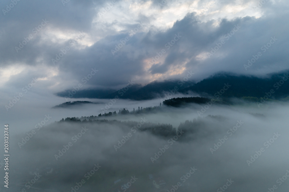 Schwarzwald von oben - Nebel