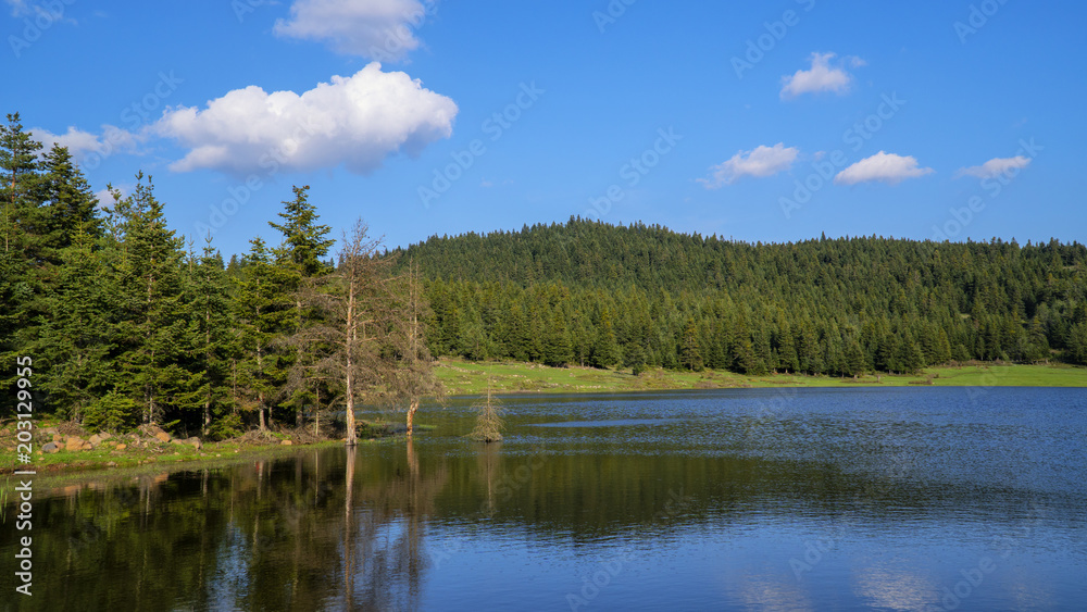 lake in the forest-Bolu City in Turkey