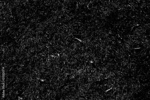 Texture of black burned grass. Black grass after fire on a field. photo