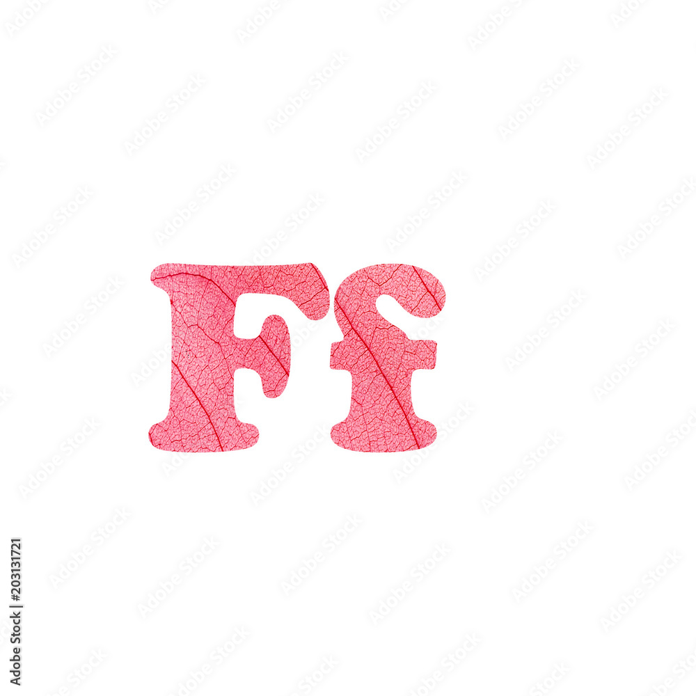 Leaf alphabet textured letter in a 3D illustration on a white background Leaf alphabet textured letter in a 3D illustration on a white background
