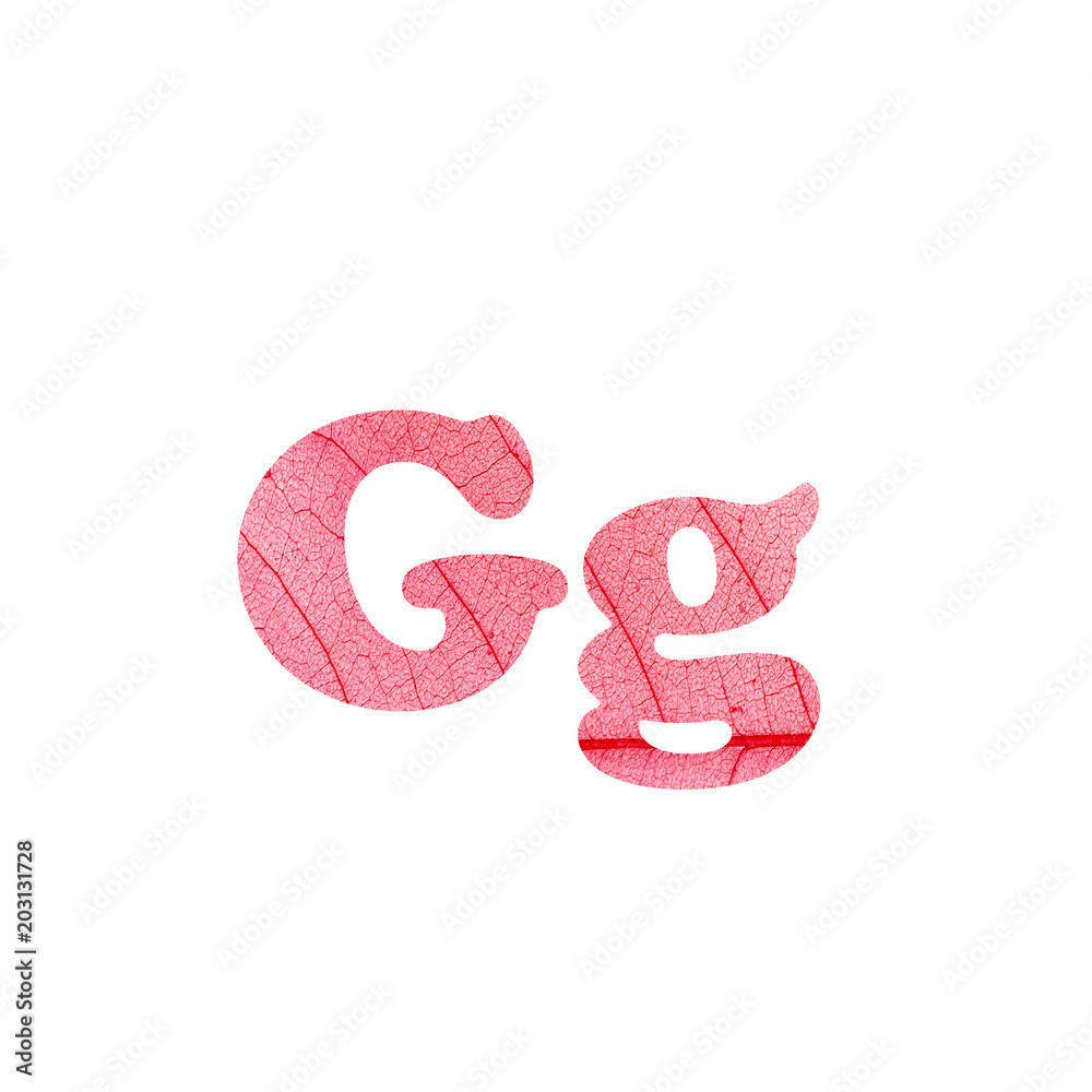 Leaf alphabet textured letter in a 3D illustration on a white background Leaf alphabet textured letter in a 3D illustration on a white background
