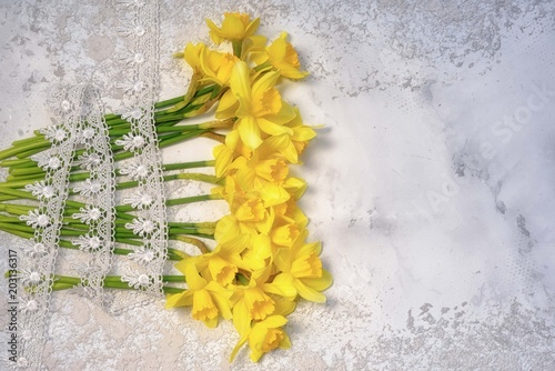 Fototapeta Naklejka Na Ścianę i Meble -  davidoff bouquet in a row with lays on the stems laying on a white cement background, top view with copy space for your text