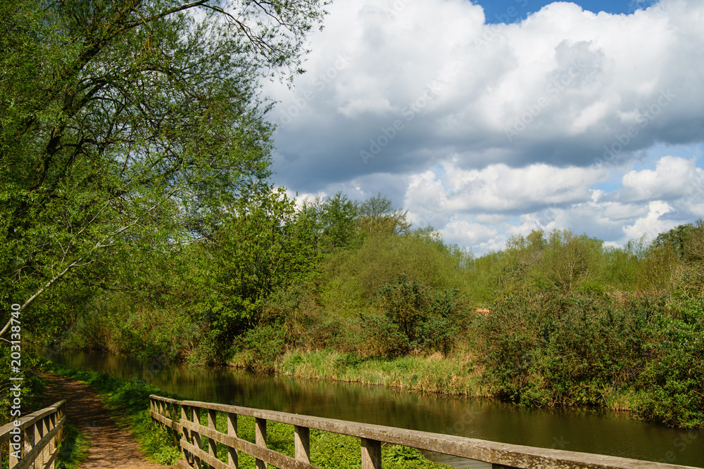 Wooden bridge and shady alley near river. Summer time