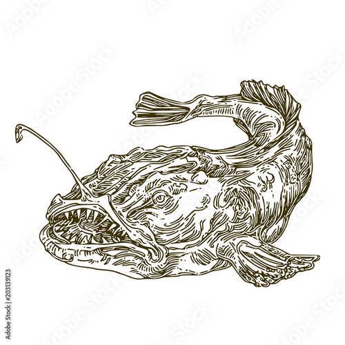 Anglerfish. Sketch. Engraving style. Vector illustration