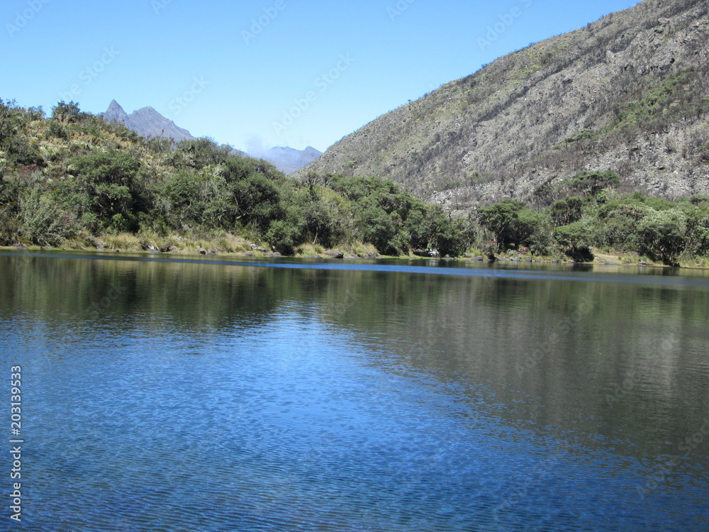 Black Lagoon Merida State Venezuela South America Black Lagoon Merida State Venezuela South America