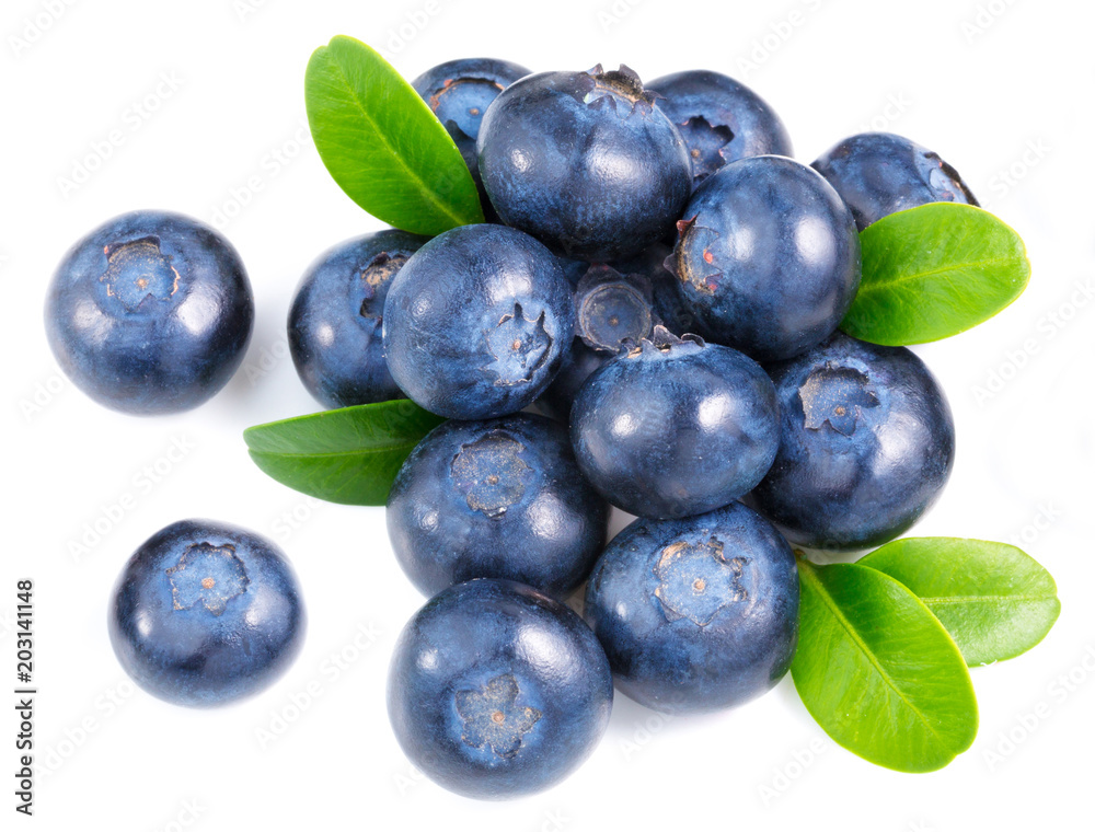 Blueberries isolated on white Blueberries isolated on white