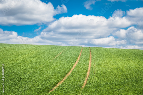 Bis zum Horizont und weiter