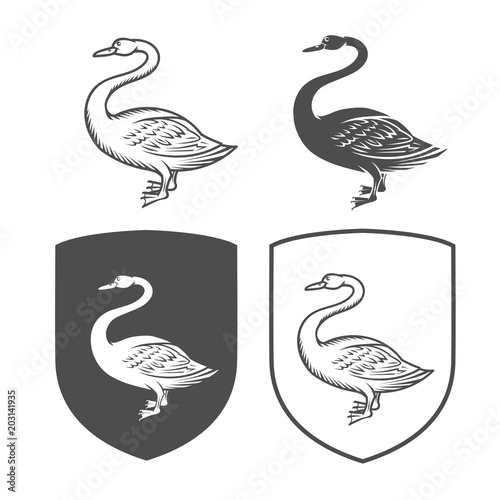 4306372 Vector heraldic shields with swan