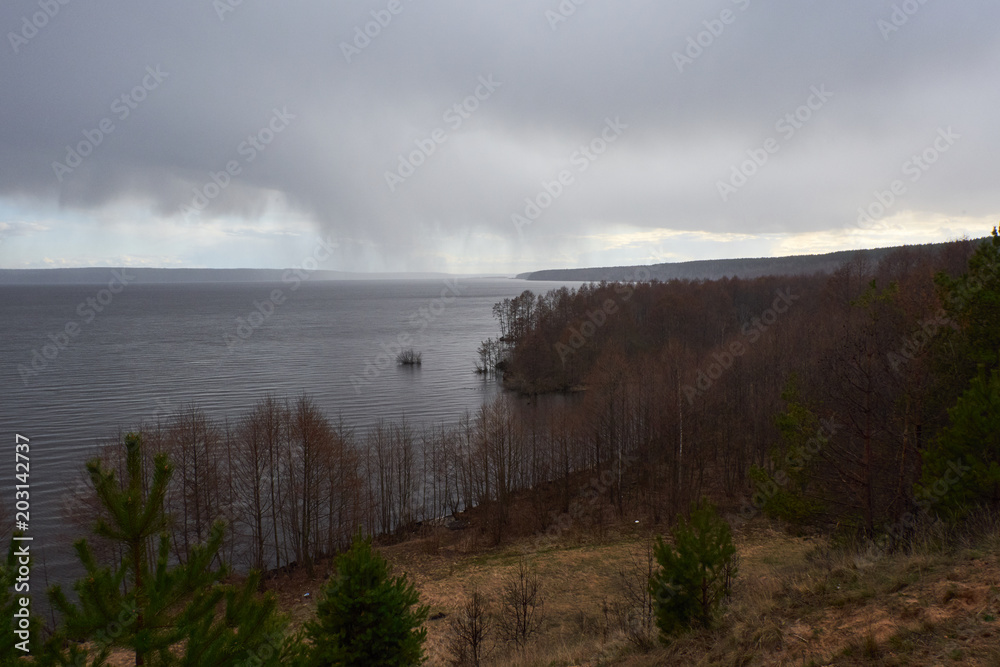 Forest on the bank of a wide river on a rainy day in early spring Forest on the bank of a wide river on a rainy day in early spring