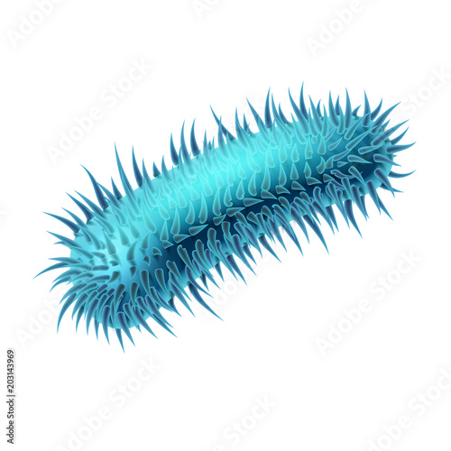 Rod-shaped bacilli bacterium