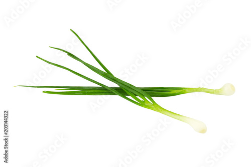 Green Spring Onion on white background