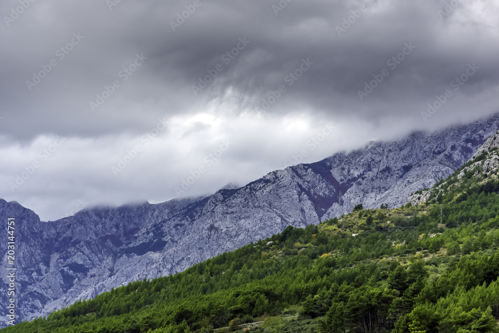 Croatian forest with clouds in mountains near Brela, Makarska Riviera, Croatia