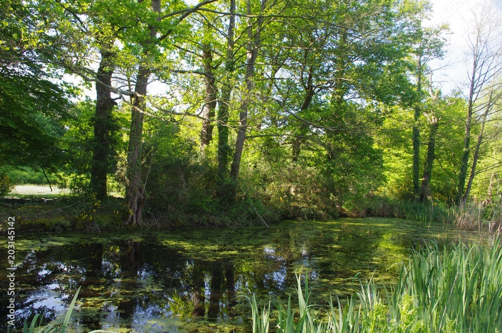 Parc de Rennes