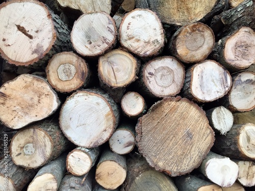 Stack of firewood log wood landscape natural