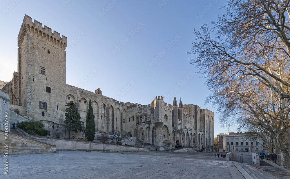 Palace of the Popes and Cathedral of Avignon - Camargue - Provence - France
