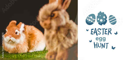 easter egg hunt graphic against ginger bunny rabbit