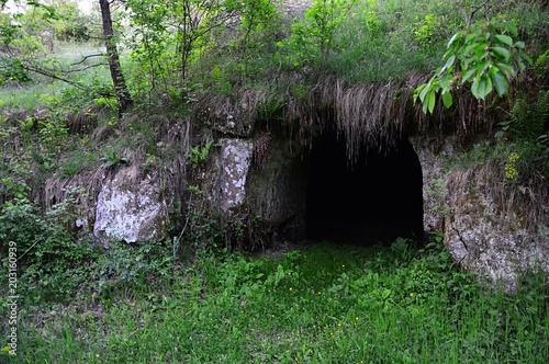 Stone dwelling entrance  possibly for domesticated animals  located in Lisov  Slovakia. Partially covered by roots of plants.