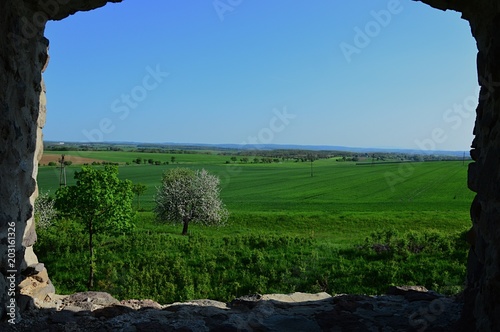 View on spring countryside with flowering apple tree and green fields through window of medieval bastion tower