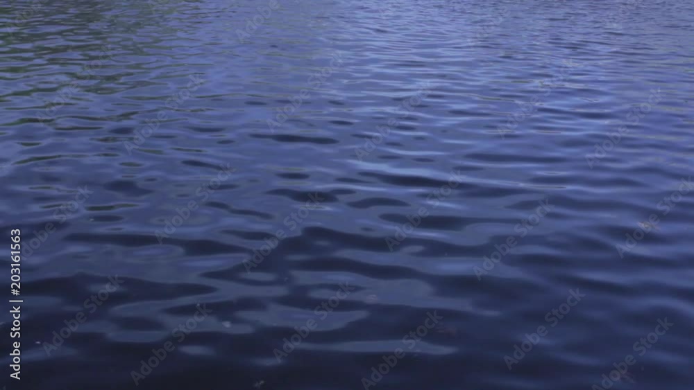 Pond Water 5 Pond Water 5