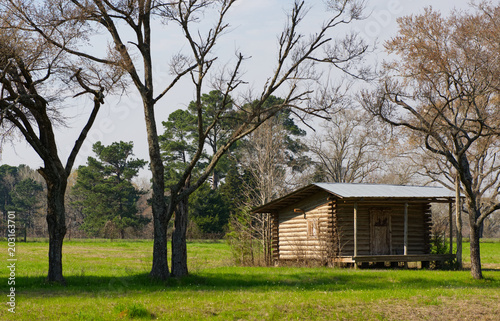 Log cabin in a field