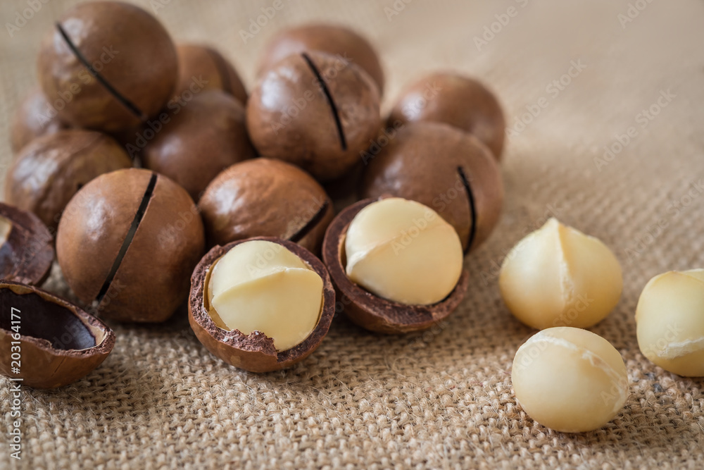 Macadamia nuts on sackcloth Macadamia nuts on sackcloth