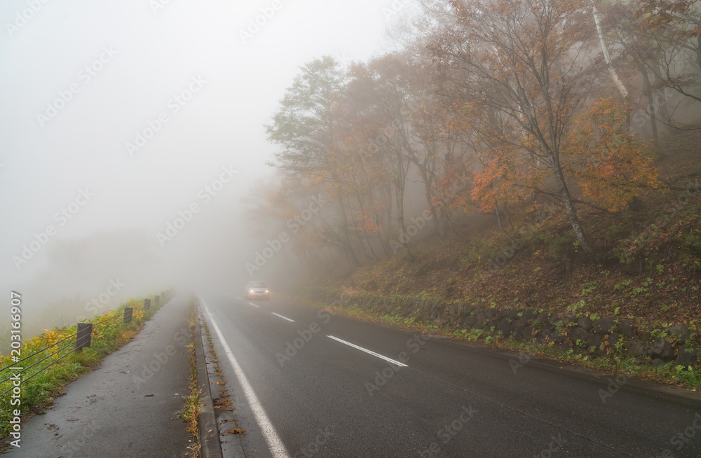 Foggy weather on high mountain road in autumn season at Nagano.