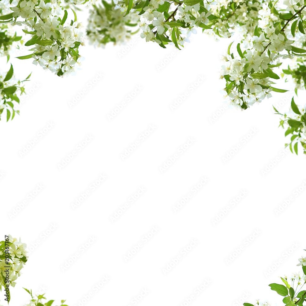 Background frame with beautiful spring landscape Background frame with beautiful spring landscape