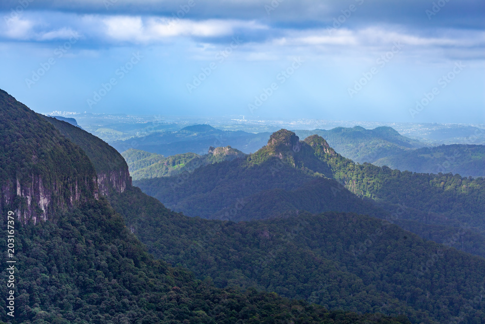 Scenic forested hills and cliffs in Springbrook National Park, Queensland, Australia