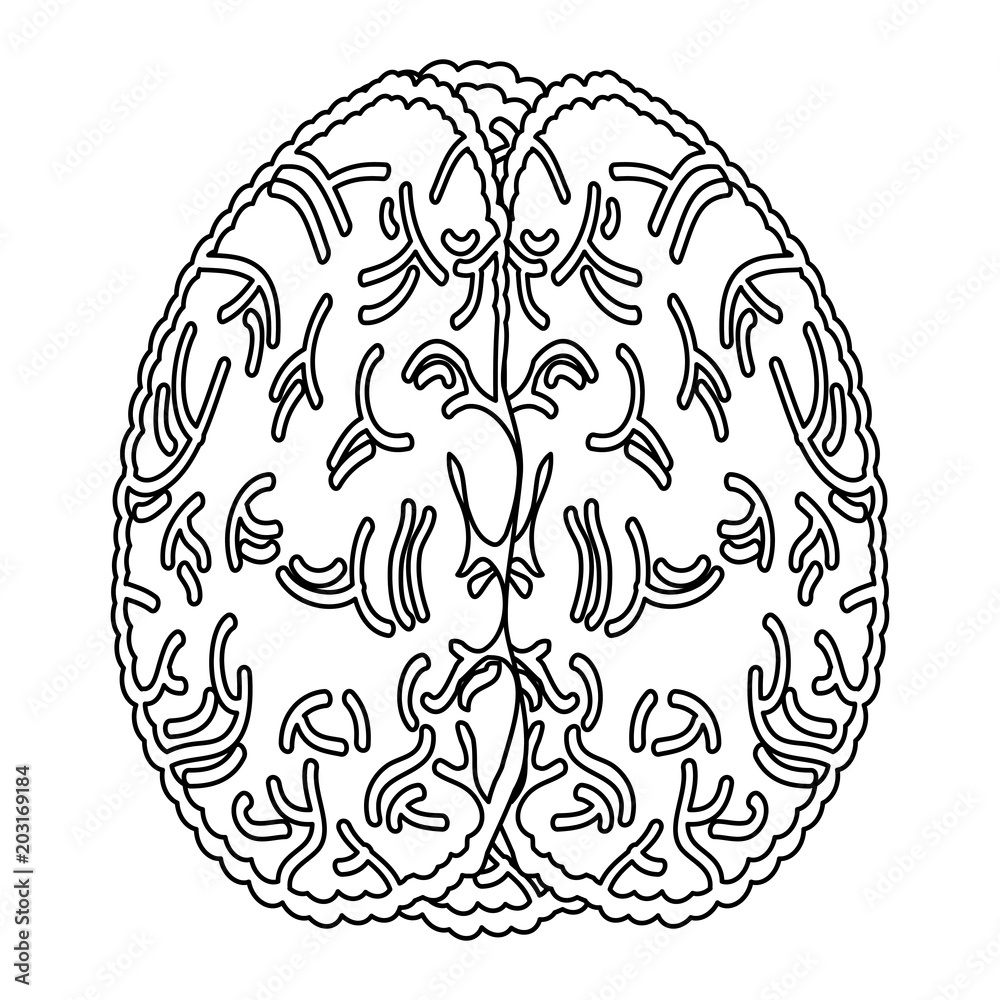 human brain icon over white background, vector illustration