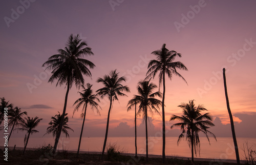 silhouette of coconut trees with beautiful sky  in the morning © aee_werawan