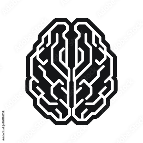 Human Brain Vector