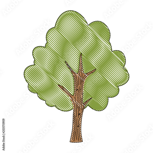 Naklejka drzewo roślina ikona na białym tle, kolorowy ilustracja wektorowa
