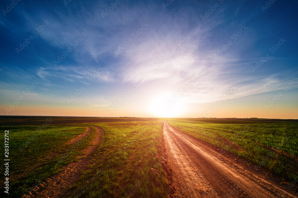 Green field,blue sky and sun. Green field,blue sky and sun.