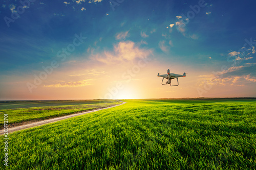 drone quad copter on green corn field photo