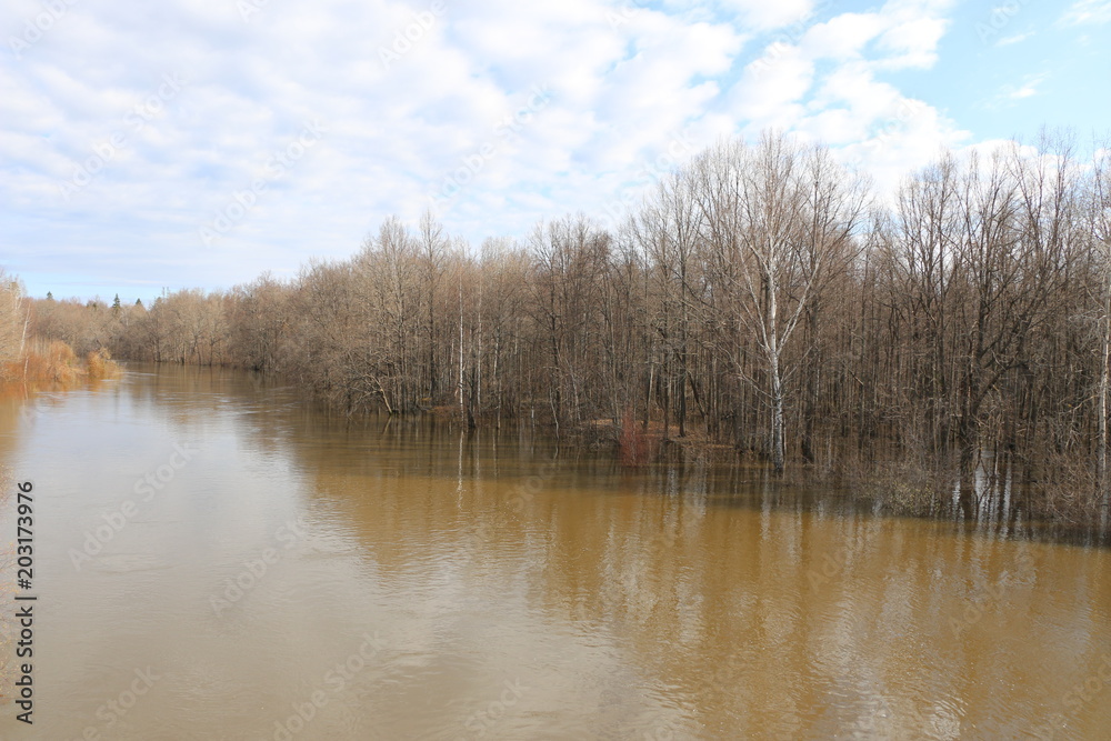 spring high water. spilling the river in the spring in the forest. flood in the spring forest.