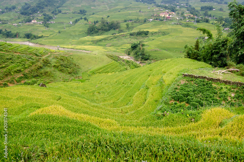 Lao Chai is little town in the valley that is famous about rice field terrace