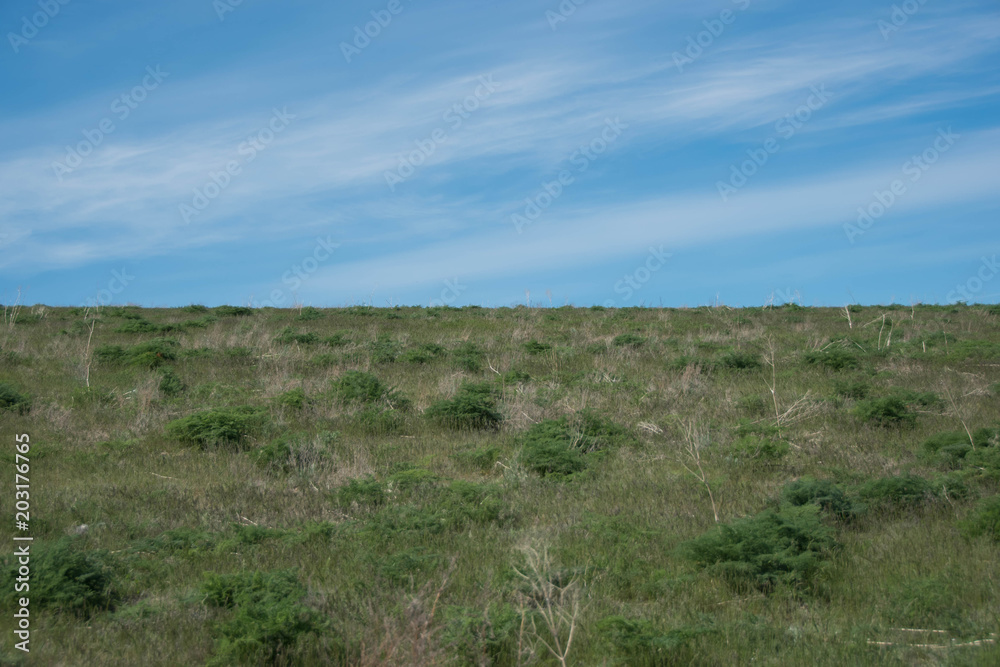 steppe in late spring against the backdrop of the holo-sky sky