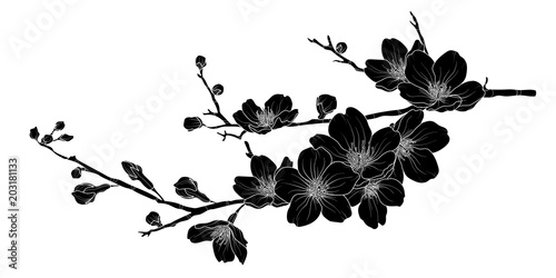 Cute hand drawn silhouette sakura branch set 1.